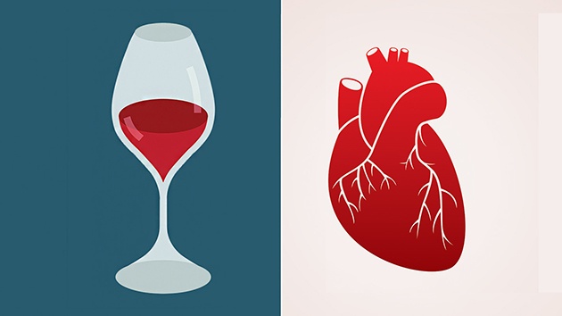 Tại sao uống rượu khiến tim đập nhanh và các bệnh tim mạch
