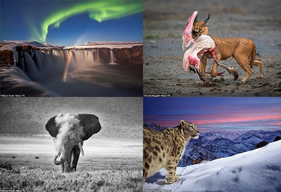 Giải thưởng Nhiếp ảnh Nature TTL 2022 là một trong những giải thưởng uy tín nhất trong lĩnh vực nhiếp ảnh thiên nhiên trên toàn thế giới. Hãy cùng chiêm ngưỡng những tác phẩm xuất sắc của các nhiếp ảnh gia tài năng và cảm nhận sự đẳng cấp, tinh túy của nghệ thuật nhiếp ảnh.