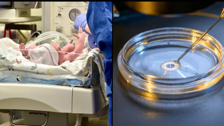 Em bé đầu tiên được sinh ra từ DNA của 3 cha mẹ ở Anh